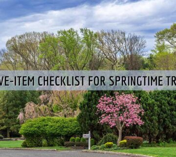 Tomahawk Emergency Tree Service offers a five item checklist for spring tree care.