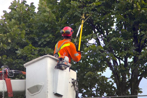 AdobeStock_375677869_Preview